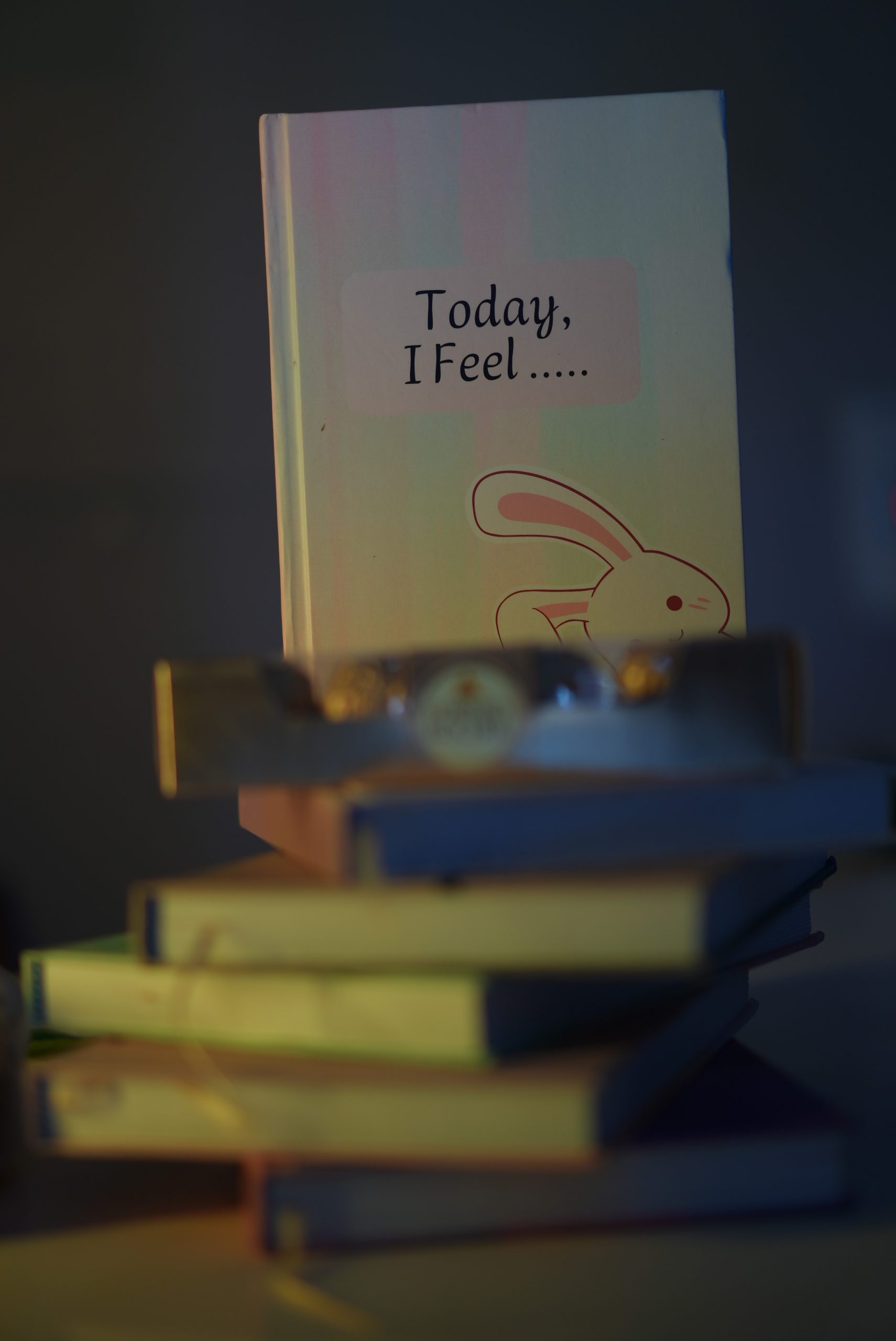 Customize Your Cover - 365 Days Wellness Planner - Image 4