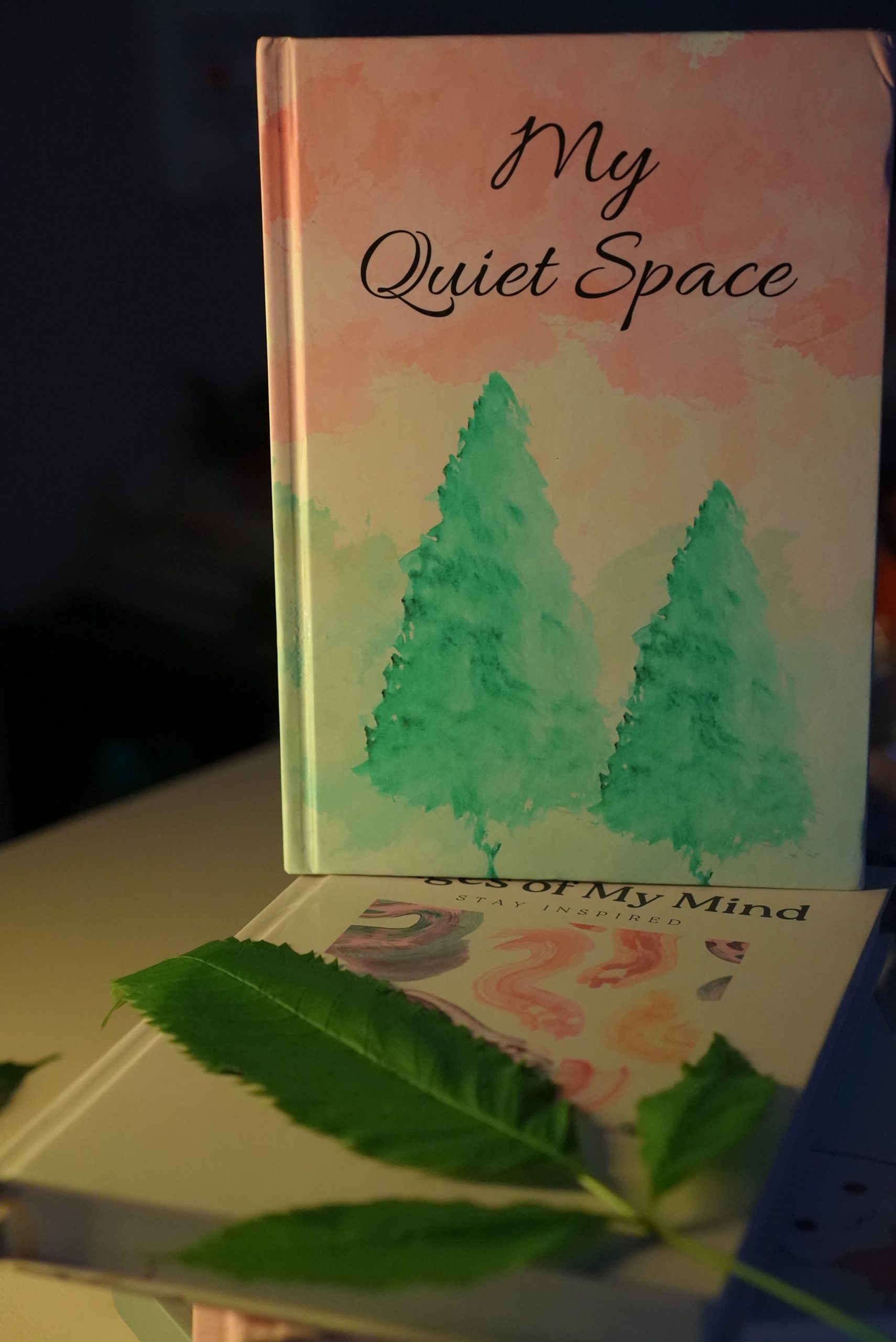Customize Your Cover - 365 Days Wellness Planner - Image 3